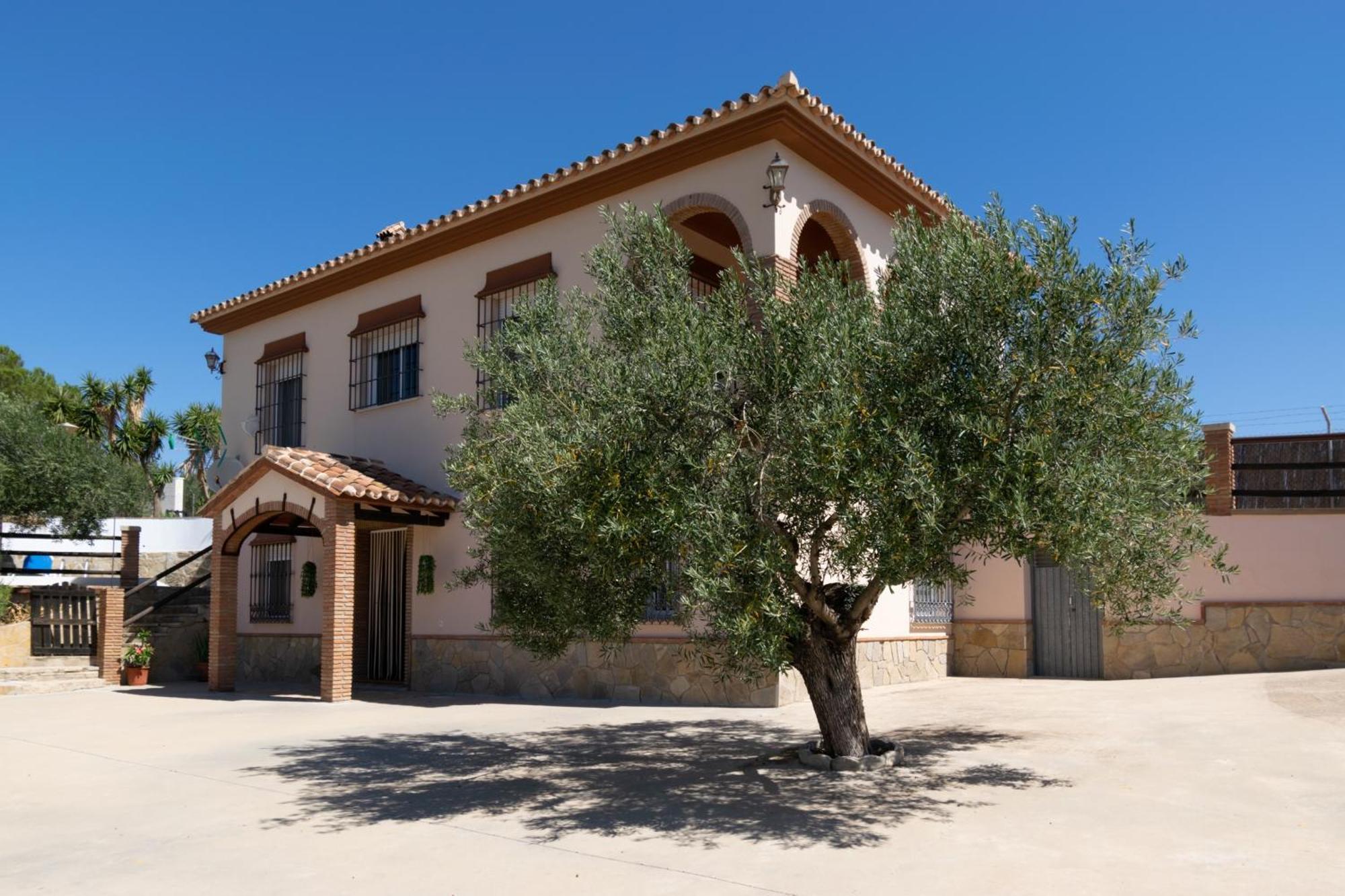 Casa Los Olivos Alora - Caminito Del Rey Exteriör bild